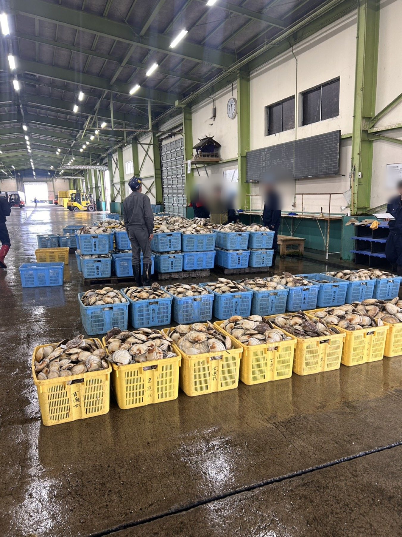魚市場での買付風景