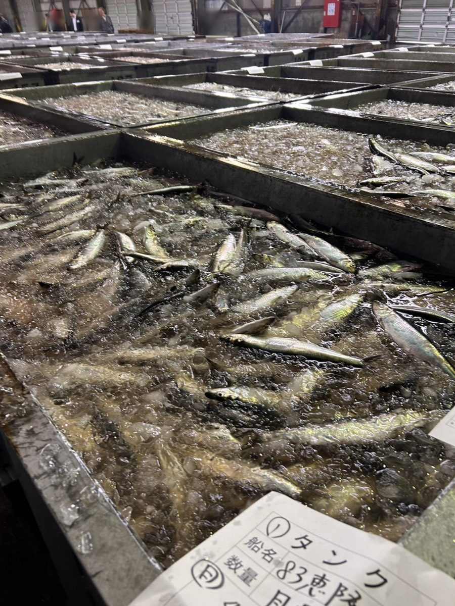 魚市場での原料仕入れ